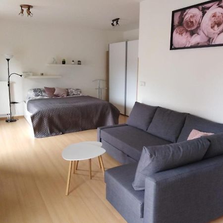 Apartment Archa Poděbrady Extérieur photo