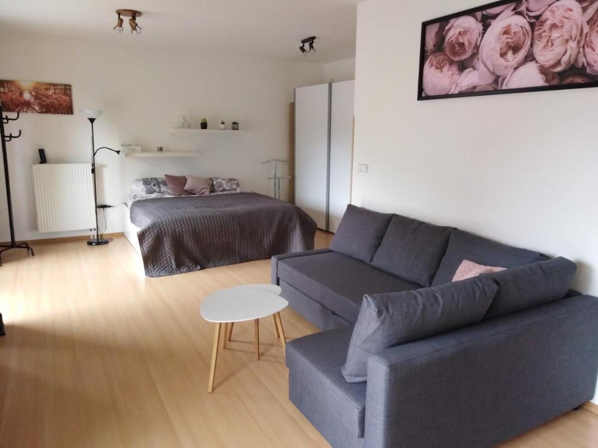 Apartment Archa Poděbrady Extérieur photo